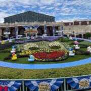 ヒメ日記 2025/06/06 23:33 投稿 高輪けい Mrs. Dandy Haneda