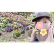 ヒメ日記 2025/09/01 14:53 投稿 西島すず Mrs. Dandy Haneda