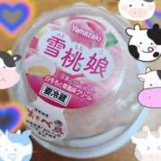 ヒメ日記 2025/03/22 13:07 投稿 藤原かえで Mrs. Dandy Haneda