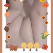 ヒメ日記 2025/05/26 01:04 投稿 藤原かえで Mrs. Dandy Haneda