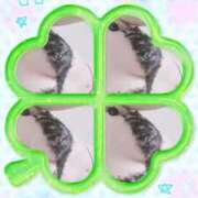 ヒメ日記 2025/10/12 01:07 投稿 藤原かえで Mrs. Dandy Haneda