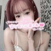 ヒメ日記 2025/03/12 04:41 投稿 舞白のん Mrs. Dandy Haneda