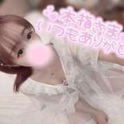 ヒメ日記 2025/04/27 02:13 投稿 舞白のん Mrs. Dandy Haneda