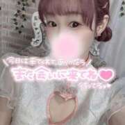 ヒメ日記 2025/05/27 07:41 投稿 舞白のん Mrs. Dandy Haneda