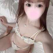 ヒメ日記 2025/06/03 04:11 投稿 舞白のん Mrs. Dandy Haneda