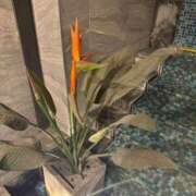 ヒメ日記 2025/02/23 18:02 投稿 みちる One More奥様　八王子店