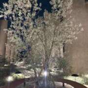 ヒメ日記 2025/03/31 15:03 投稿 みちる One More奥様　八王子店