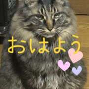 ヒメ日記 2024/12/10 09:28 投稿 あいみ 愛知弥富ちゃんこ