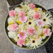 ヒメ日記 2025/03/14 16:21 投稿 あいみ 愛知弥富ちゃんこ