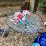 ヒメ日記 2025/03/20 11:22 投稿 あいみ 愛知弥富ちゃんこ