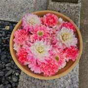 ヒメ日記 2025/03/21 09:02 投稿 あいみ 愛知弥富ちゃんこ