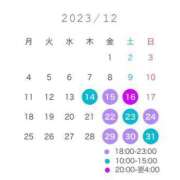 ヒメ日記 2023/12/13 22:58 投稿 ひなた C.C.CATS