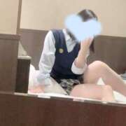 ヒメ日記 2024/12/22 01:06 投稿 ひなた C.C.CATS