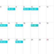 ヒメ日記 2024/12/29 16:05 投稿 ひなた C.C.CATS