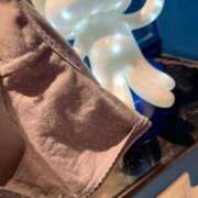 ヒメ日記 2025/05/11 13:05 投稿 ひなた C.C.CATS