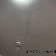 ヒメ日記 2025/03/17 19:06 投稿 のの 変態なんでも鑑定団