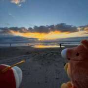 ヒメ日記 2026/01/13 23:36 投稿 のの 変態なんでも鑑定団