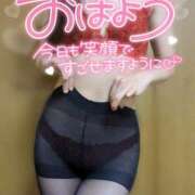 ヒメ日記 2024/12/11 09:21 投稿 あかり consolation