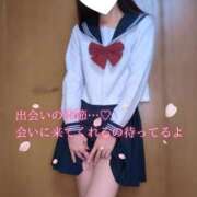 ヒメ日記 2026/04/17 07:40 投稿 あかり consolation