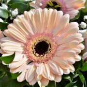 ヒメ日記 2026/06/15 08:15 投稿 あかり consolation