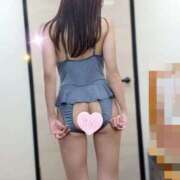 ヒメ日記 2026/09/12 07:38 投稿 あかり consolation
