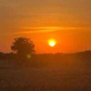 ヒメ日記 2025/12/14 10:57 投稿 まひる 熟女の風俗最終章 新宿店