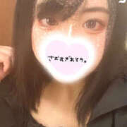 ヒメ日記 2024/12/12 20:22 投稿 おとは 川越ぽちゃまに