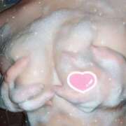 ヒメ日記 2024/12/26 09:52 投稿 おとは 川越ぽちゃまに