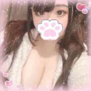 ヒメ日記 2024/12/28 10:12 投稿 おとは 川越ぽちゃまに