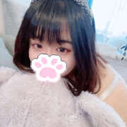 ヒメ日記 2025/02/21 11:52 投稿 おとは 川越ぽちゃまに