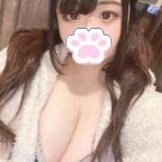 ヒメ日記 2025/04/09 09:52 投稿 おとは 川越ぽちゃまに