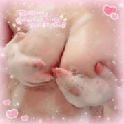 ヒメ日記 2025/09/15 09:52 投稿 おとは 川越ぽちゃまに