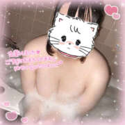 ヒメ日記 2025/09/27 09:54 投稿 おとは 川越ぽちゃまに