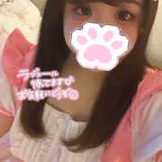 ヒメ日記 2026/02/05 11:52 投稿 おとは 川越ぽちゃまに