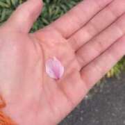 ヒメ日記 2025/04/12 21:55 投稿 りお 東京リップ 立川店