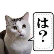 ヒメ日記 2024/12/21 12:59 投稿 ユリ sweet kiss