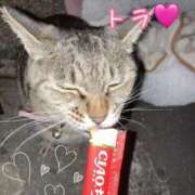 ヒメ日記 2025/04/25 02:59 投稿 ユリ sweet kiss