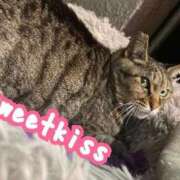 ヒメ日記 2025/05/04 00:59 投稿 ユリ sweet kiss