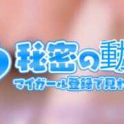 ヒメ日記 2024/02/18 22:46 投稿 みほ club さくら日本橋店