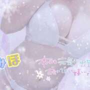 ヒメ日記 2024/12/14 13:16 投稿 みほ club さくら日本橋店