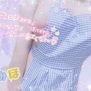 ヒメ日記 2024/12/16 22:46 投稿 みほ club さくら日本橋店