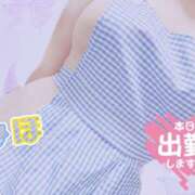 ヒメ日記 2025/01/15 10:26 投稿 みほ club さくら日本橋店