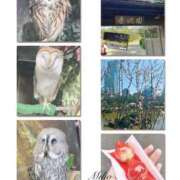 ヒメ日記 2025/03/23 18:26 投稿 みほ club さくら日本橋店