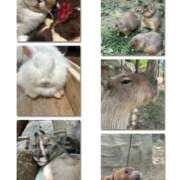 ヒメ日記 2025/06/01 14:16 投稿 みほ club さくら日本橋店