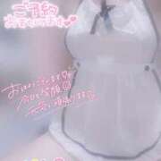 ヒメ日記 2025/06/27 08:16 投稿 みほ club さくら日本橋店