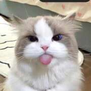 ヒメ日記 2025/07/05 10:56 投稿 みほ club さくら日本橋店