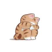 ヒメ日記 2025/11/06 12:59 投稿 みほ club さくら日本橋店