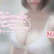 ヒメ日記 2025/11/19 11:56 投稿 みほ club さくら日本橋店