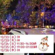 ヒメ日記 2024/12/22 15:35 投稿 りの マダム可憐