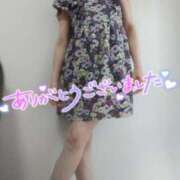 ヒメ日記 2024/12/27 18:20 投稿 りの マダム可憐